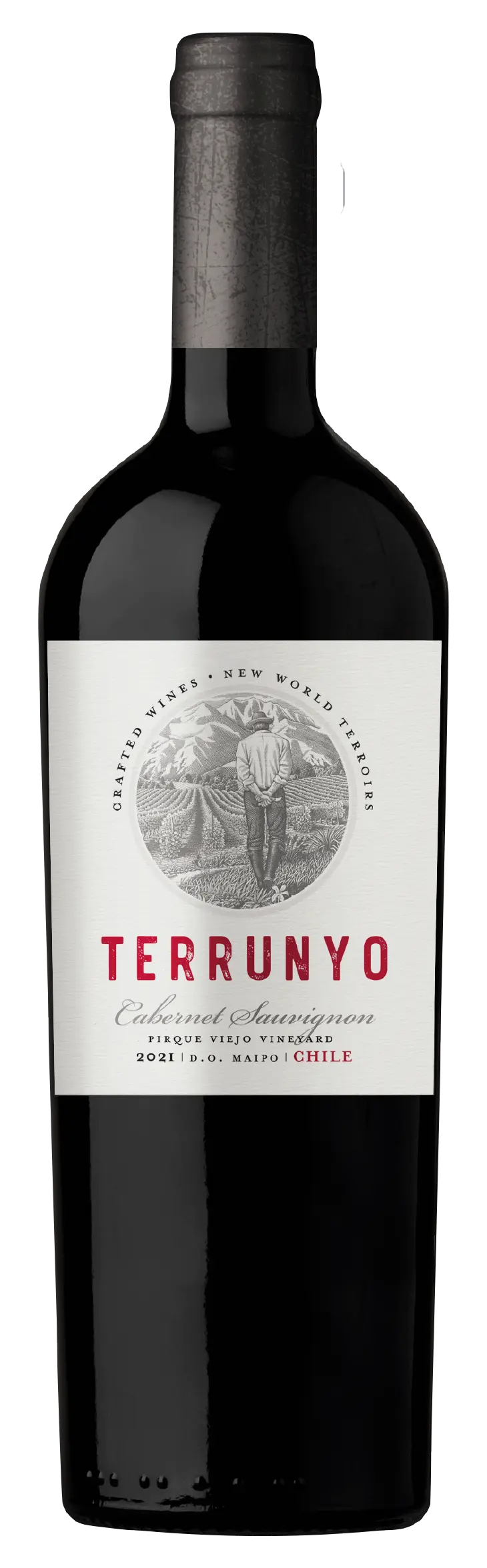 Terrunyo Cabernet Sauvignon 2021 Terrunyo Cabernet Sauvignon 2021