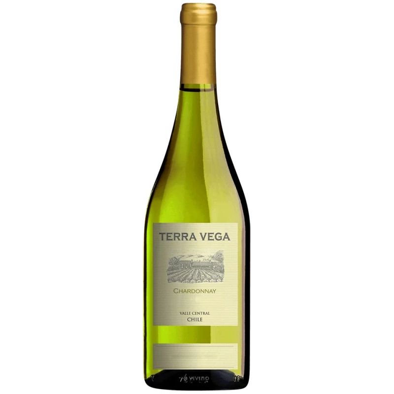Terra Vega Chardonnay Terra Vega Chardonnay